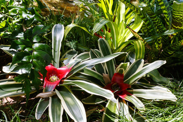 Similar image 5523130