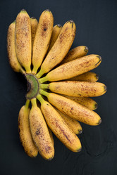 Similar image 5523259