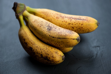 Similar image 5523281