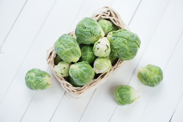 Similar image 5523293