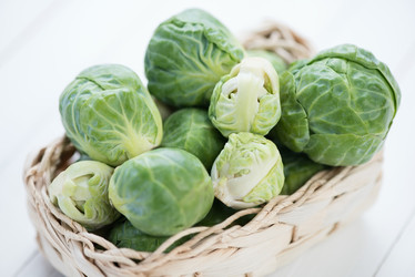 Similar image 5523294