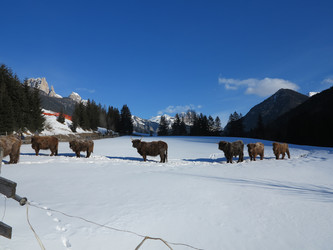 Similar image 5523356