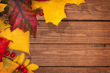 Similar image 5523559