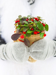 Similar image 5523573