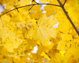 Similar image 5523611