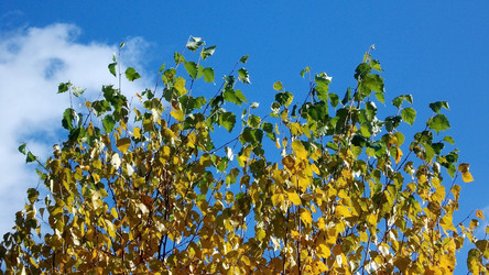 Similar image 5523633