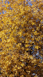 Similar image 5523634