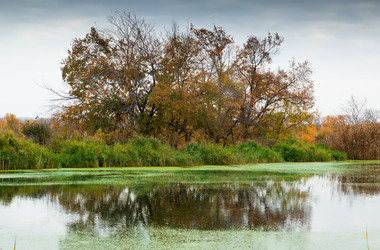 Similar image 5523683