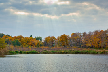 Similar image 5523684