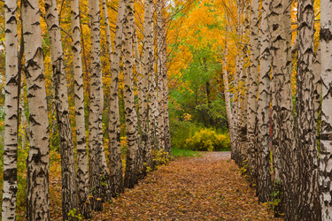 Similar image 5523687