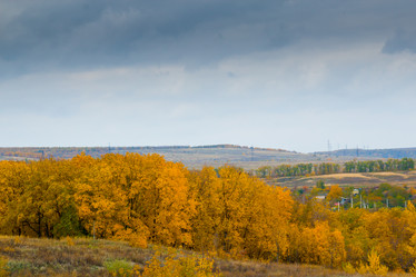 Similar image 5523689