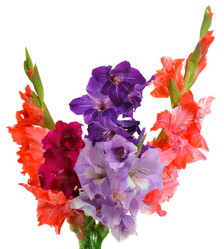 Similar image 5523764