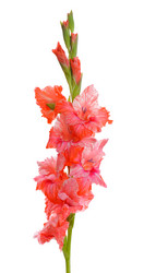 Similar image 5523765