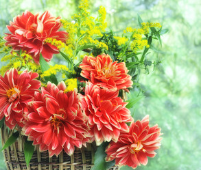 Similar image 5523767