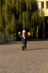 Similar image 5523930