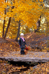 Similar image 5523935