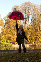 Similar image 5523954