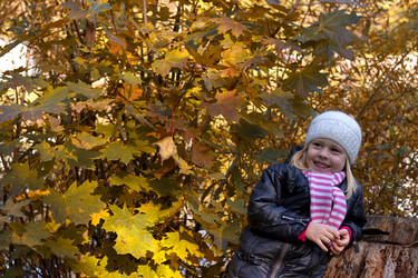 Similar image 5523956