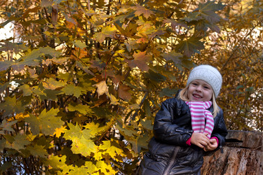 Similar image 5523957