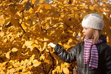 Similar image 5523967