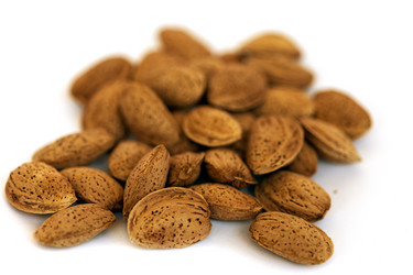 Similar image 5523970