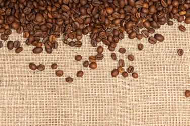 Similar image 5523984