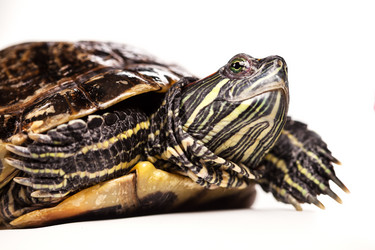 Similar image 5523998