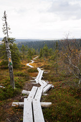 Similar image 5524227