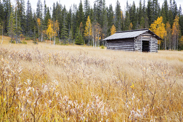 Similar image 5524229