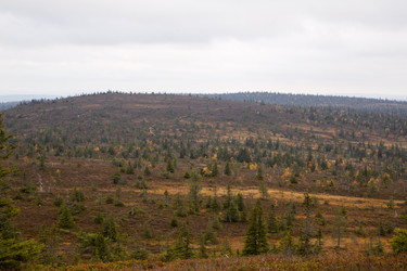 Similar image 5524232