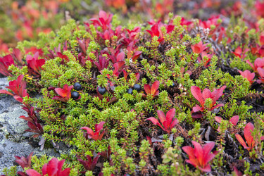 Similar image 5524233