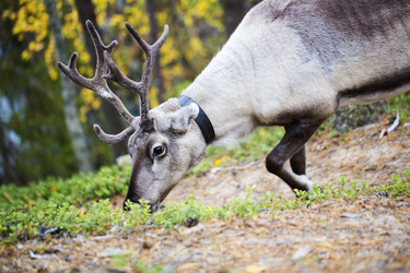 Similar image 5524241