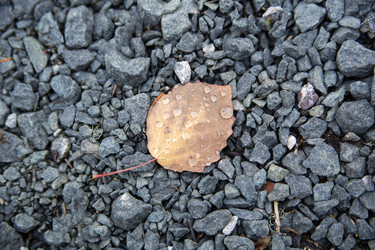 Similar image 5524244