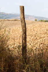 Similar image 5524250