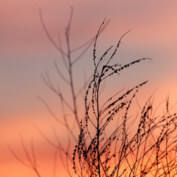 Similar image 5524255