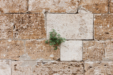 Similar image 5524256