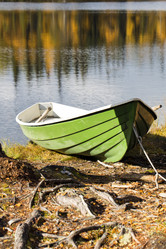 Similar image 5524274