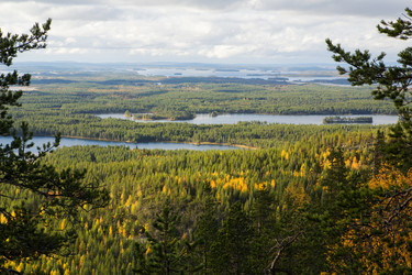 Similar image 5524278