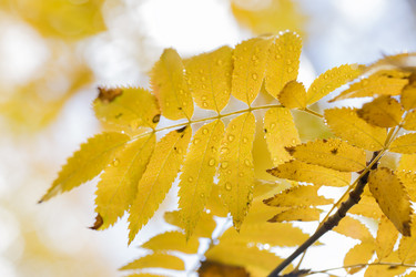 Similar image 5524280