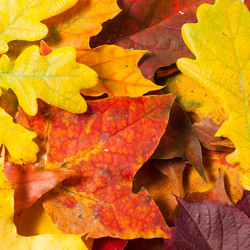 Similar image 5524289