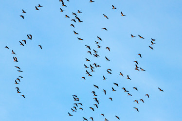 Similar image 5524292