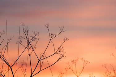 Similar image 5524319