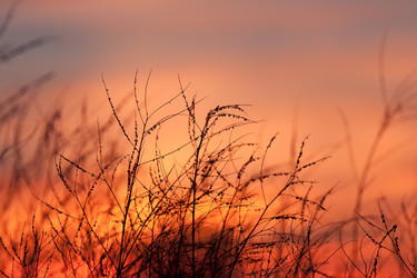 Similar image 5524320