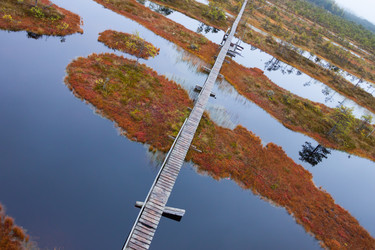 Similar image 5524324