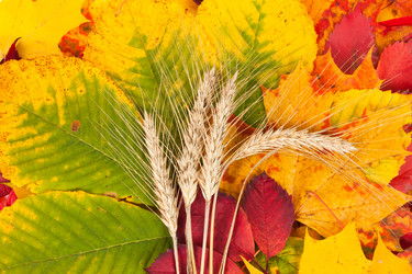 Similar image 5524379