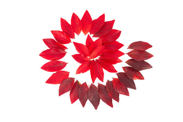 Similar image 5524381