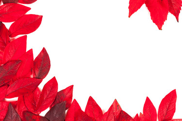 Similar image 5524394