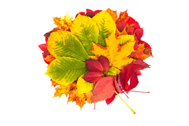 Similar image 5524399