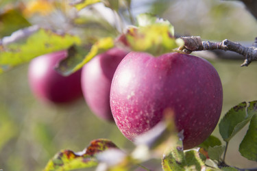 Similar image 5524568