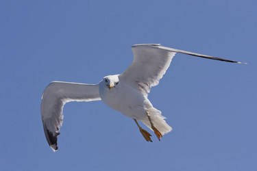 Similar image 5524573